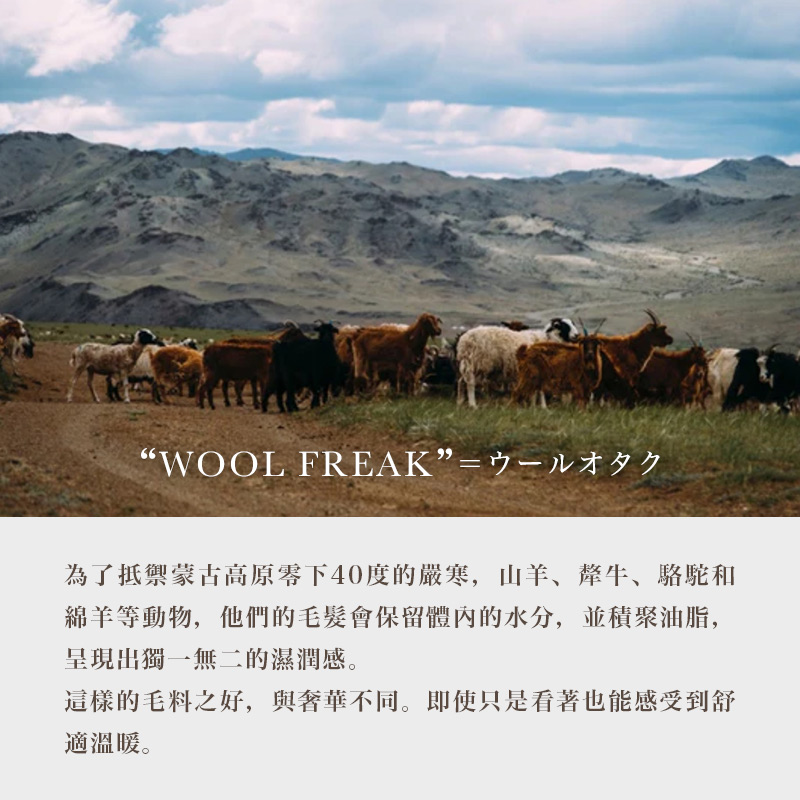 日本奶奶家 蒙古高原氂牛x羊毛手編毛衣 unique